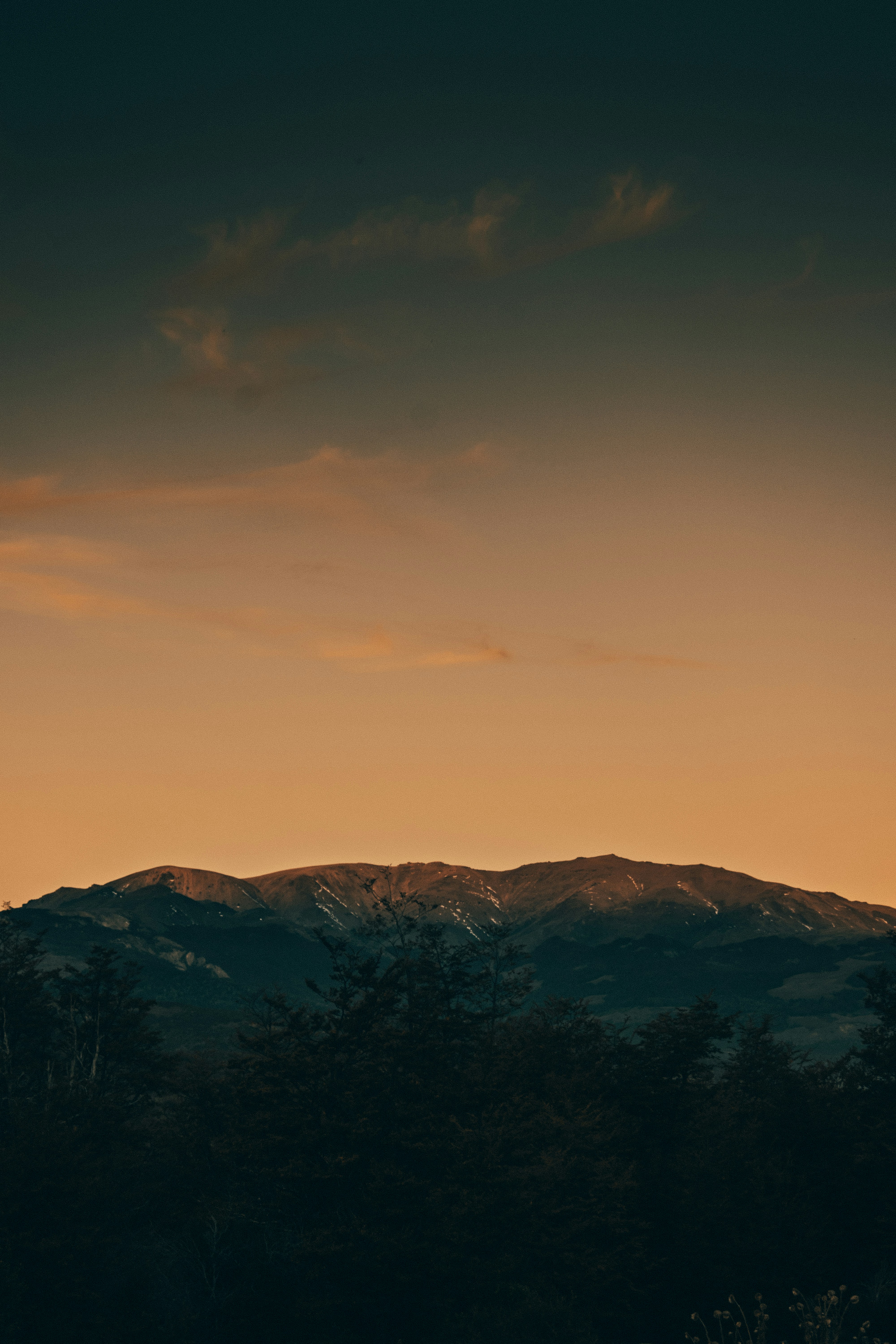 Photo by gasparzaldo