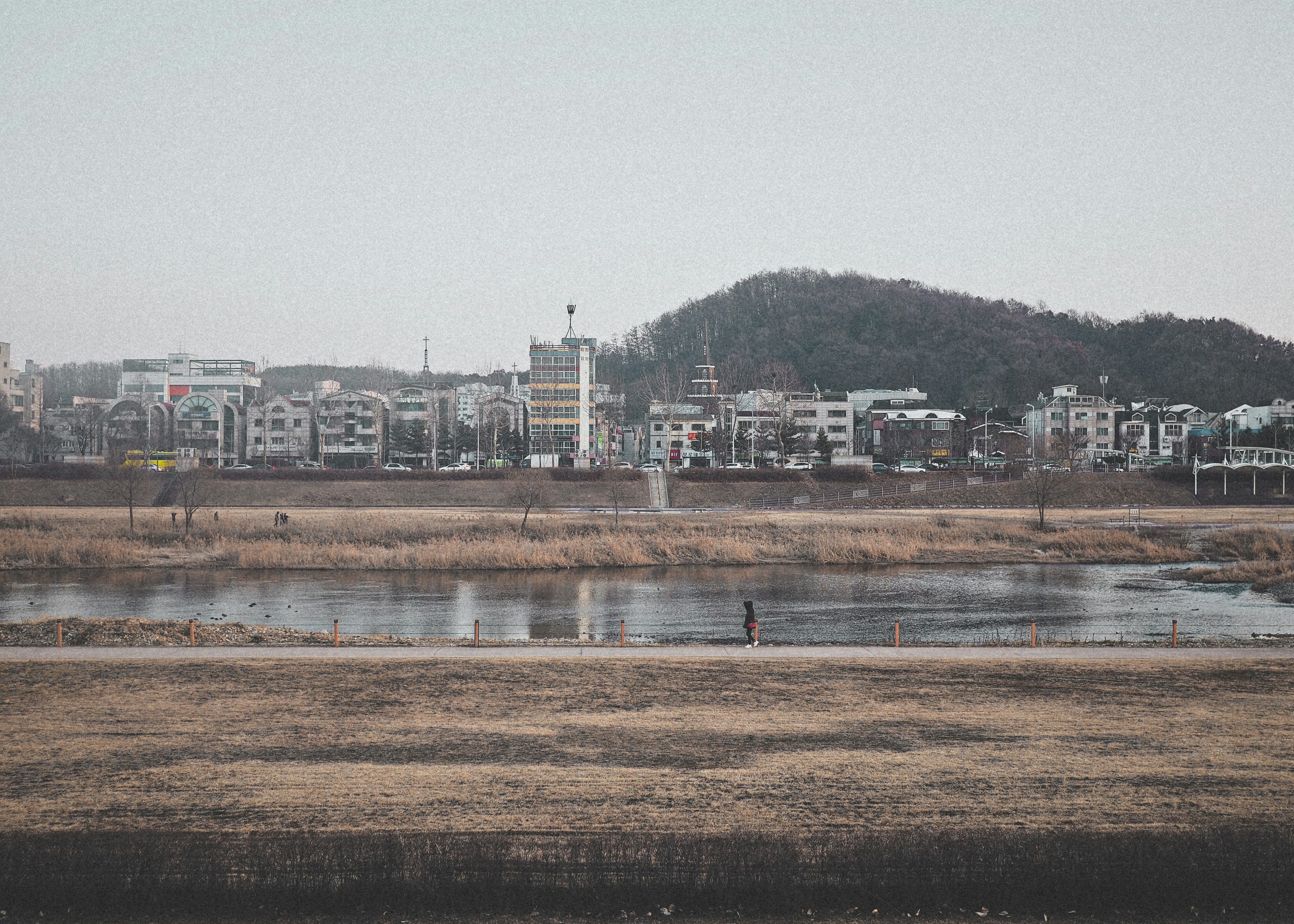 white buildings under white sky