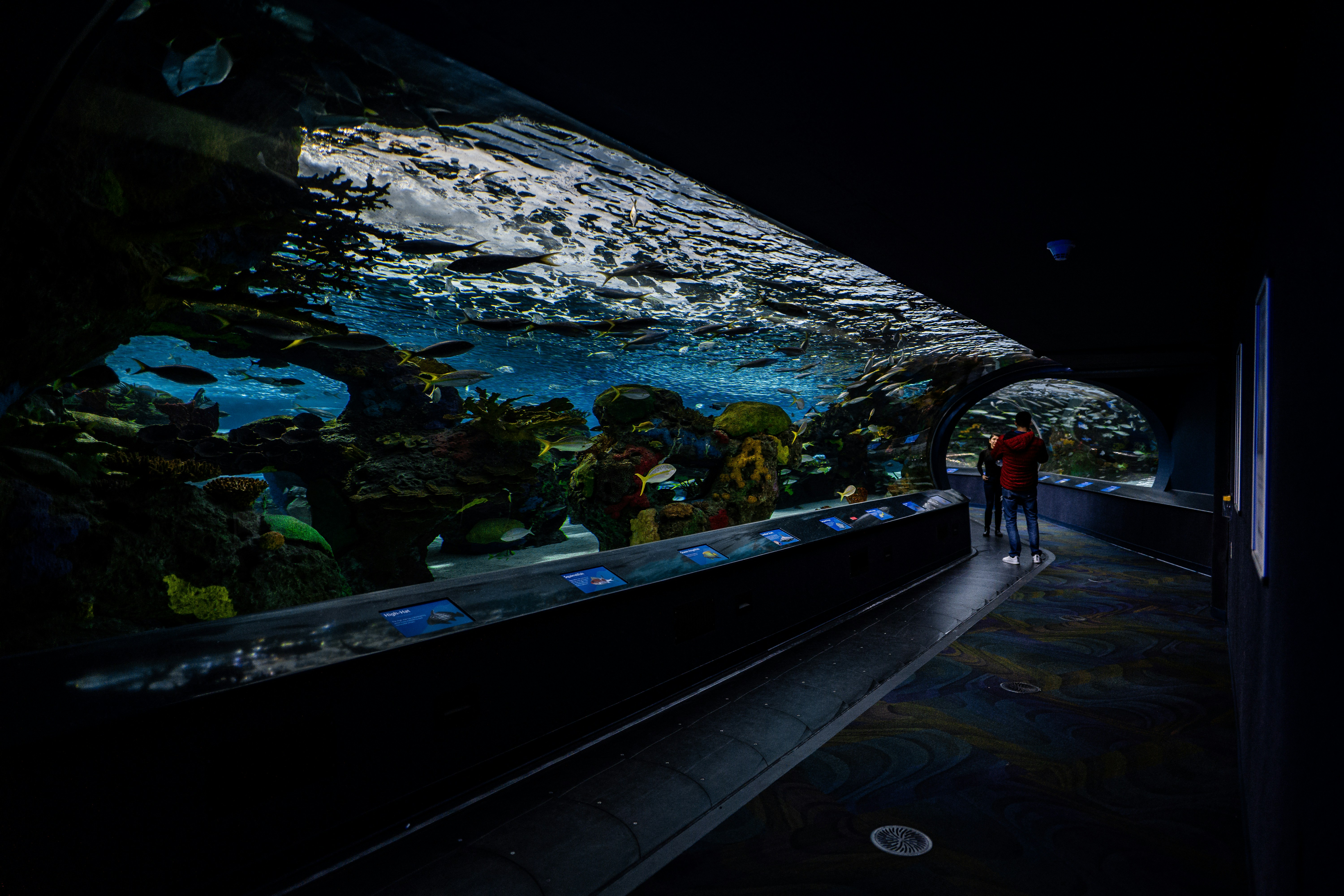 Barcelona Aquarium