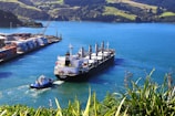 A large cargo ship is being guided by a smaller tugboat as it navigates through a vibrant blue harbor. Numerous shipping containers are stacked neatly at the port to the left, while lush green hills provide a picturesque backdrop. The foreground is adorned with tropical plants adding depth to the scene.