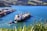 A large cargo ship is being guided by a smaller tugboat as it navigates through a vibrant blue harbor. Numerous shipping containers are stacked neatly at the port to the left, while lush green hills provide a picturesque backdrop. The foreground is adorned with tropical plants adding depth to the scene.