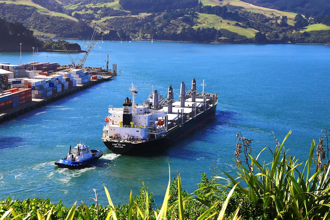 A tug boat guides a cargo ship away from the wharf at Port Chalmers on a beautiful sunny day. Clumps of native flax grow abundantly in the foreground at Observation Point . From here is a view of all the happenings in the port below. In the distance green hills frame the harbor.