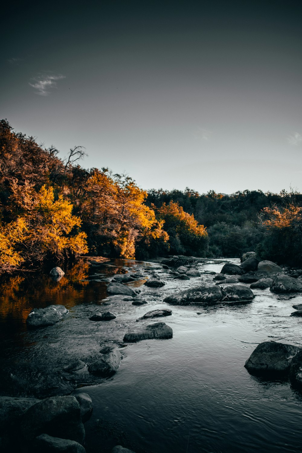 river in between bushes