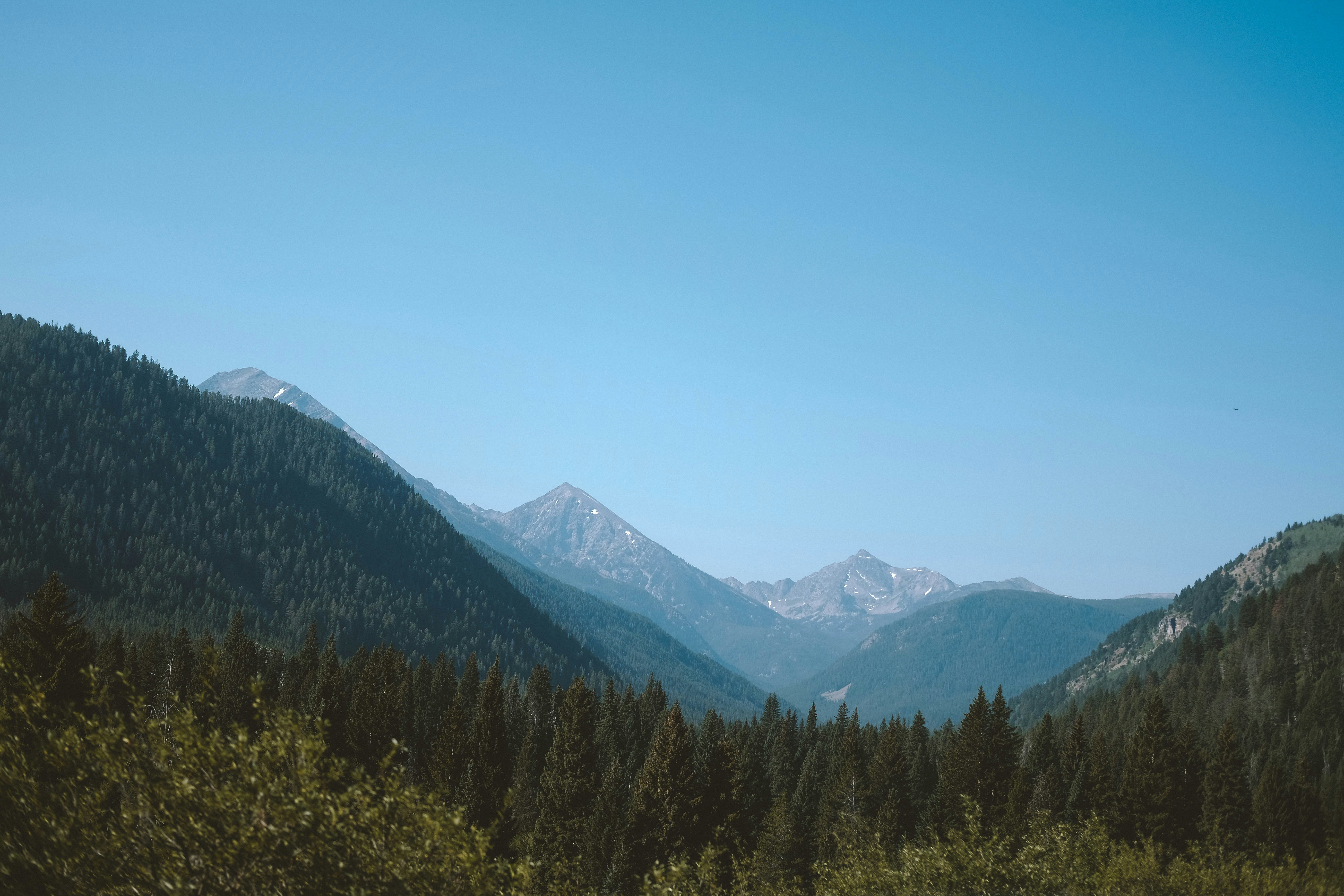 Photo by revolvercreativecompany