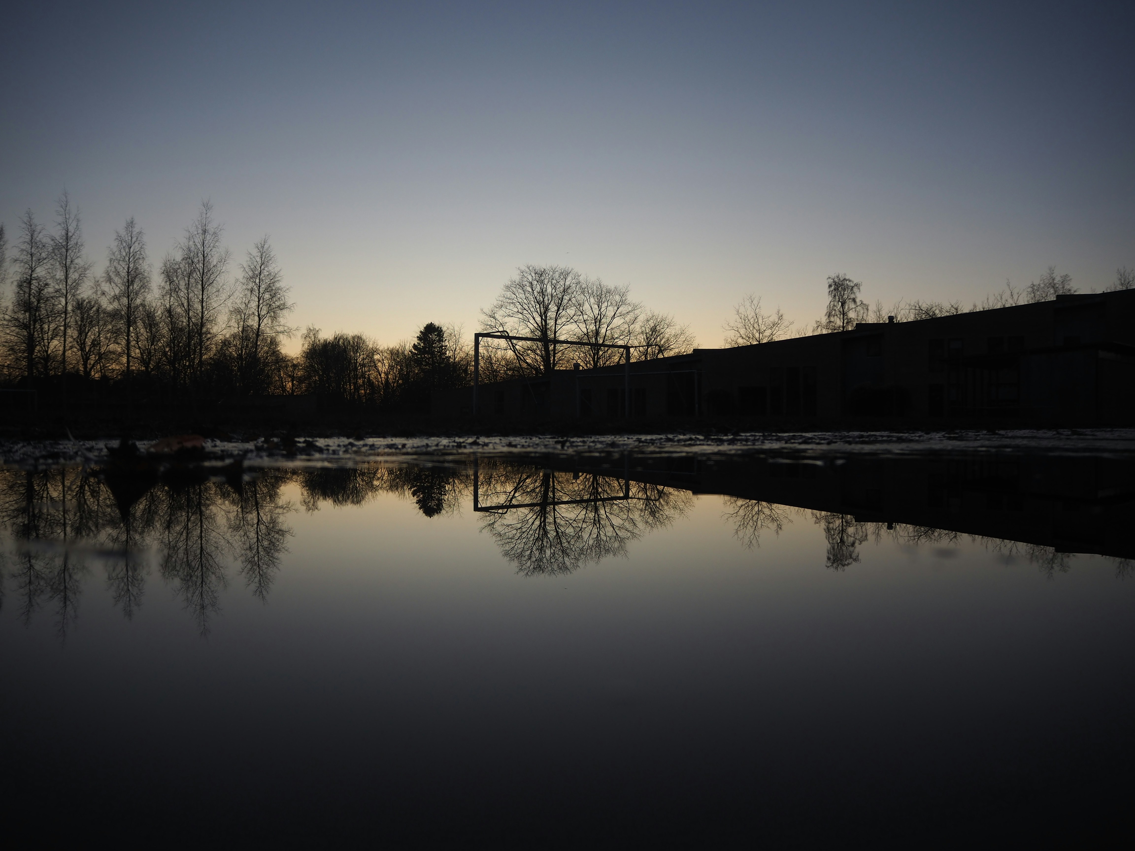 reflection of bare trees on body of water during golden hour