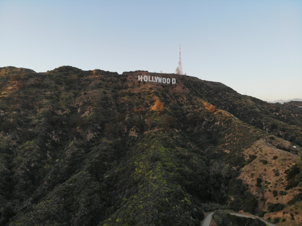 Foto di Hollywood