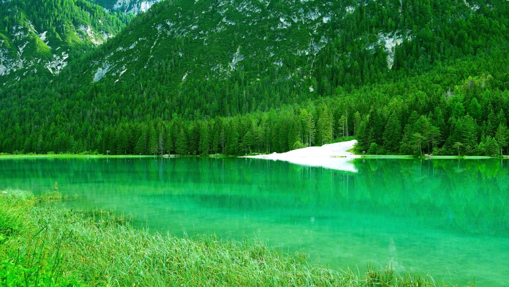 water under hill near trees