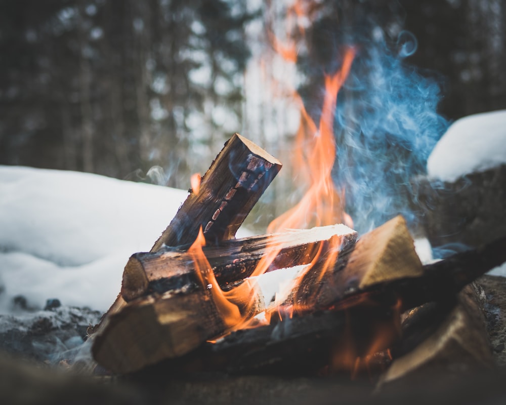 firewood on flame