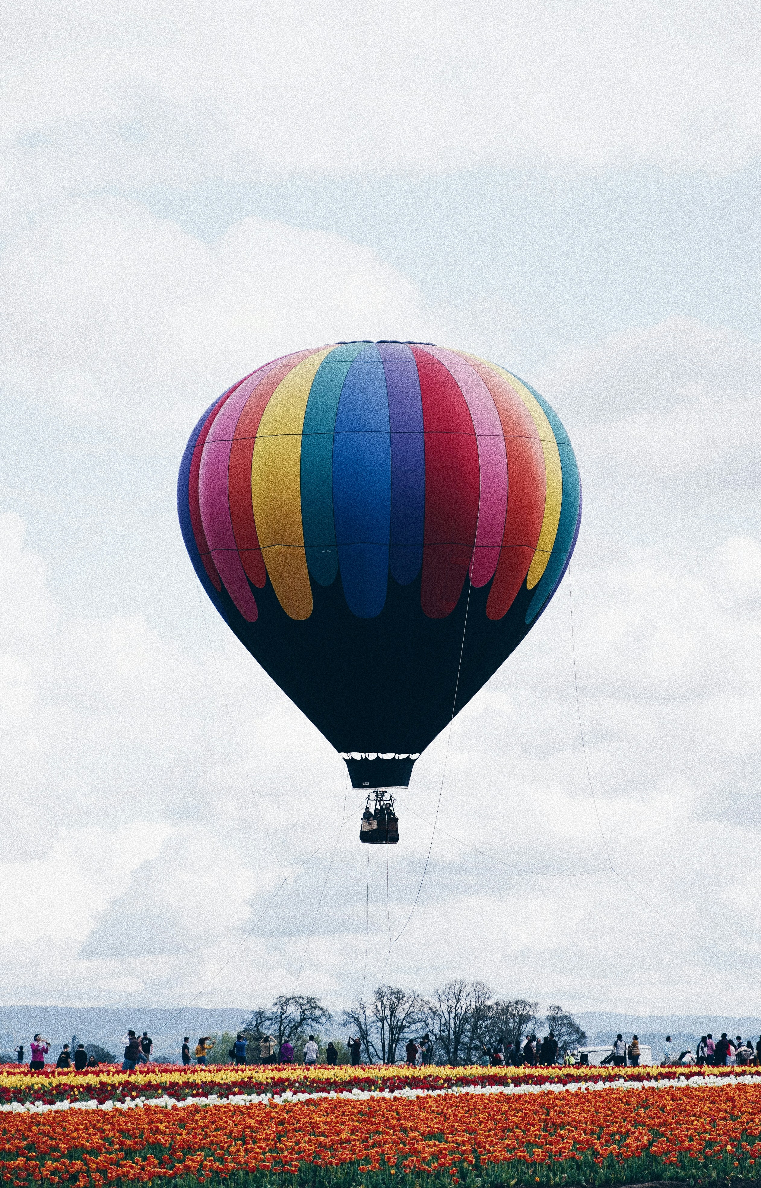 blue, red, and yellow hot air balloon