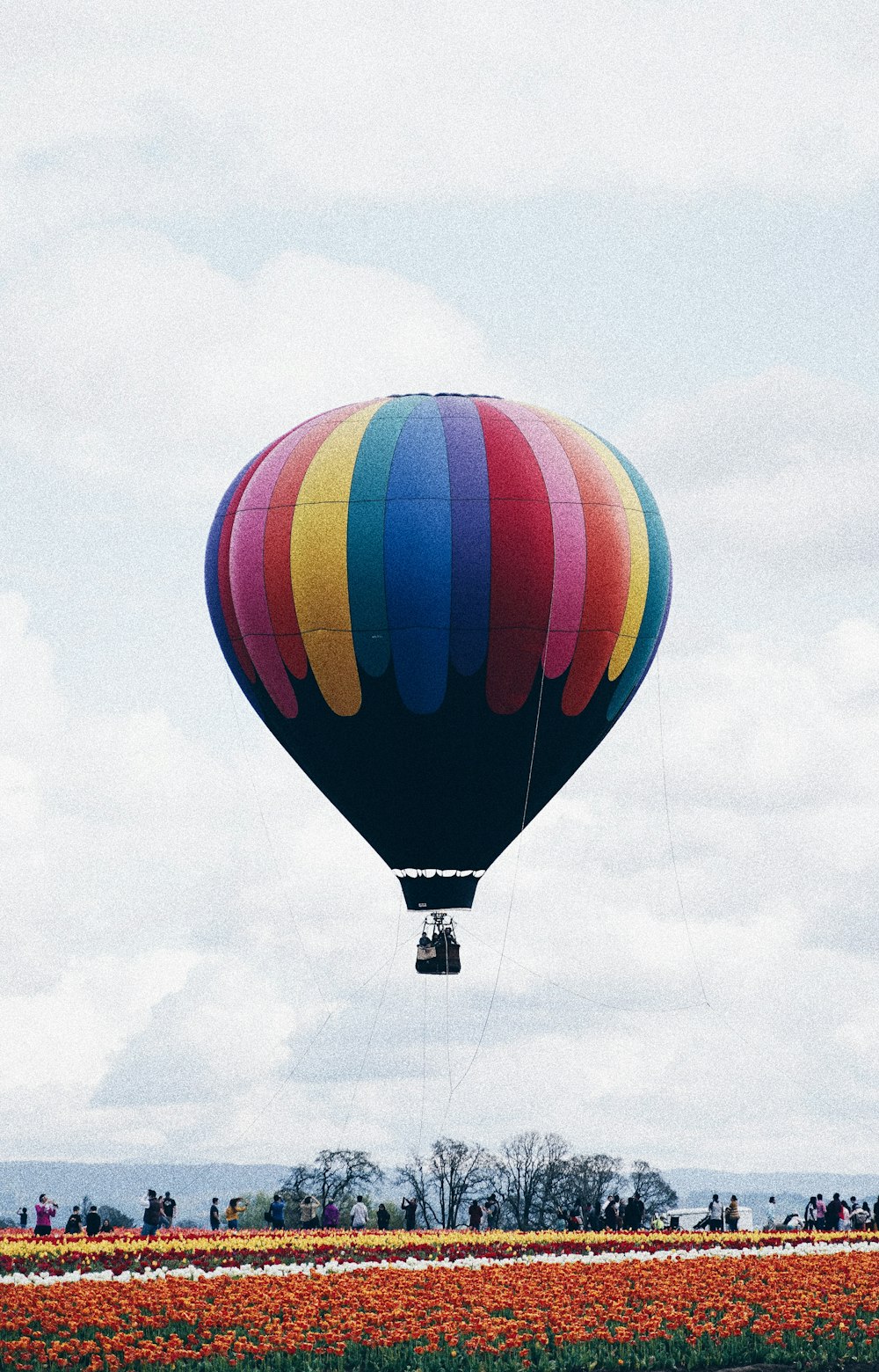 blue, red, and yellow hot air balloon