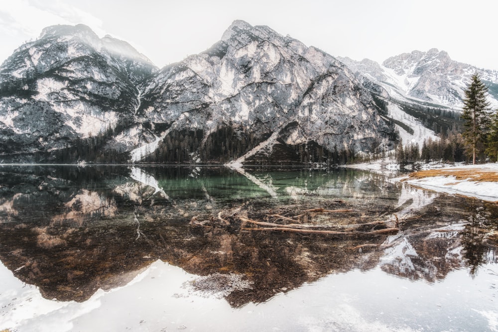 ice cap mountain near body of water