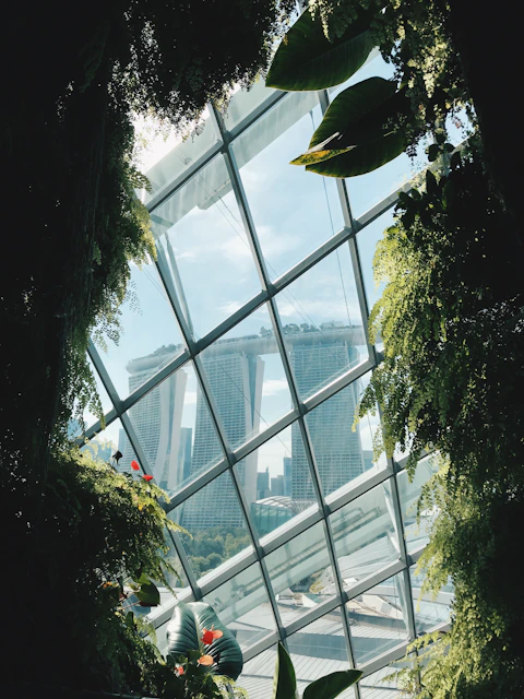 green-leafed plants
