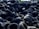 A large pile of old, used tires stacked haphazardly outdoors, with some vegetation visible in the background.