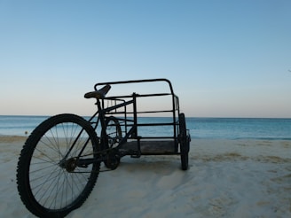 The trimaran’s wheels extended, preparing to move from sea to land on a sandy beach.