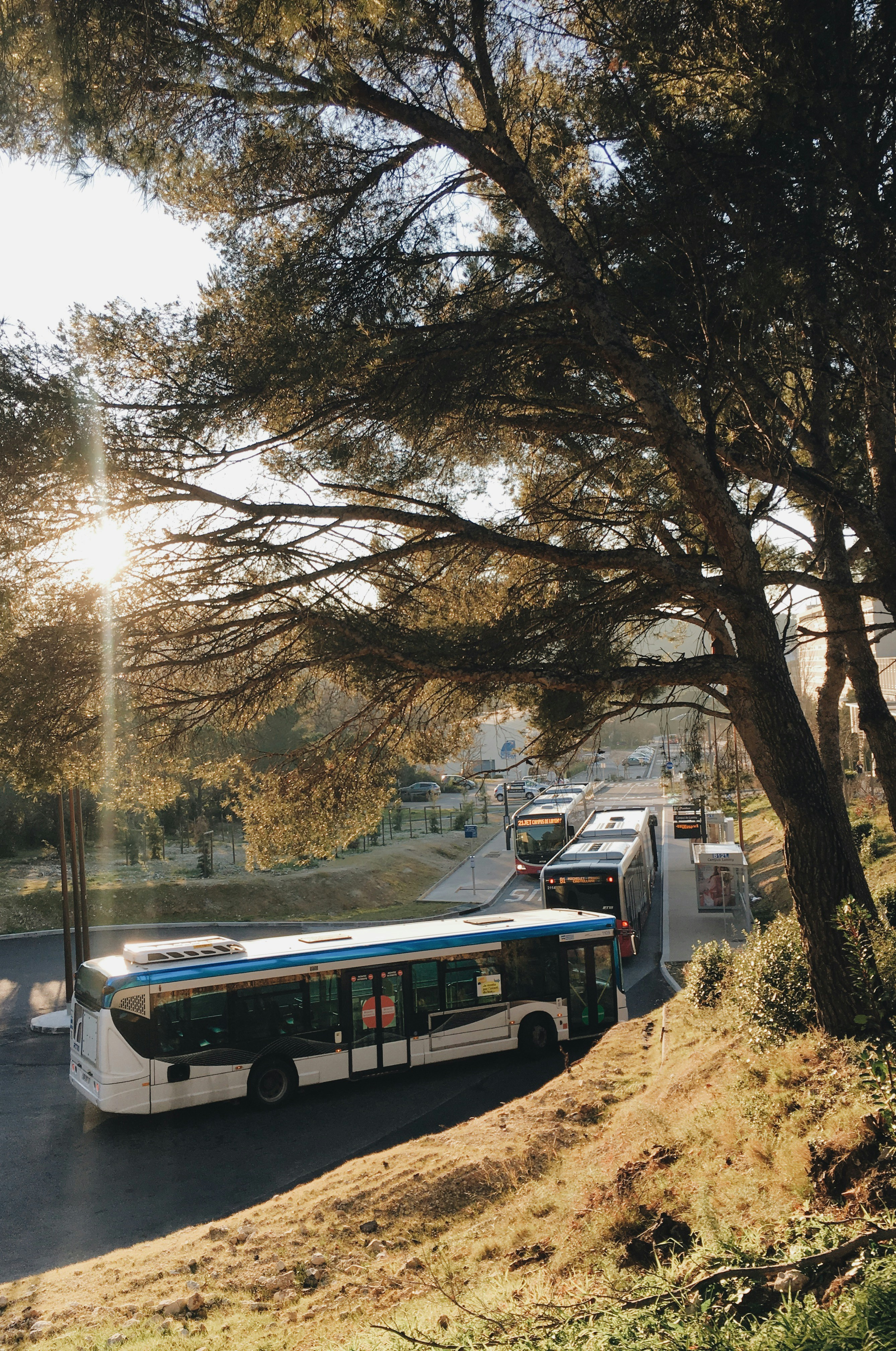 Premium Buses and Coaches Supply