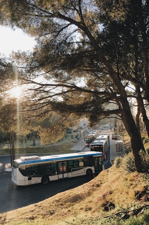 A modern bus parked at a scenic rest stop with trees in the background.