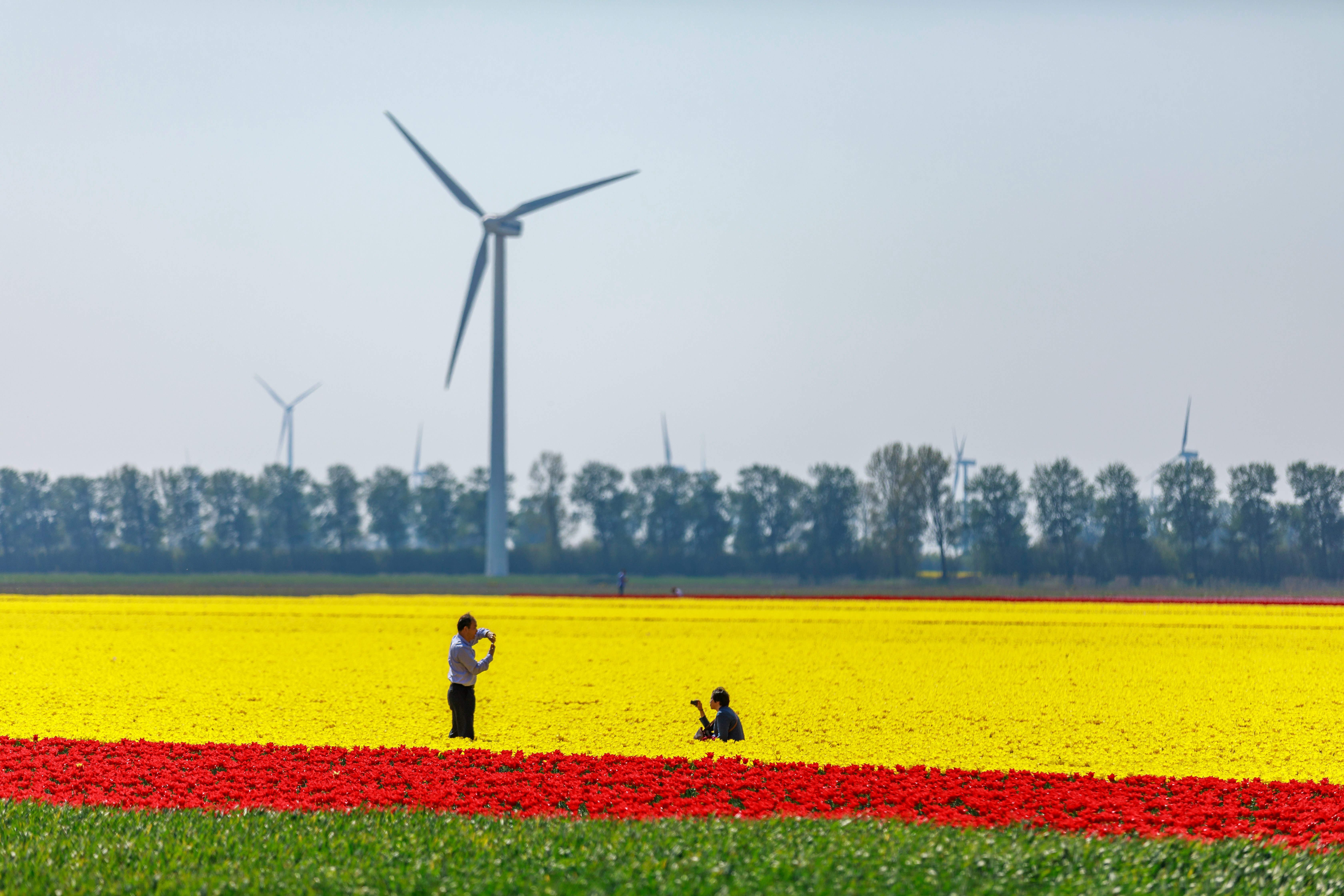 two person standing near wind mill