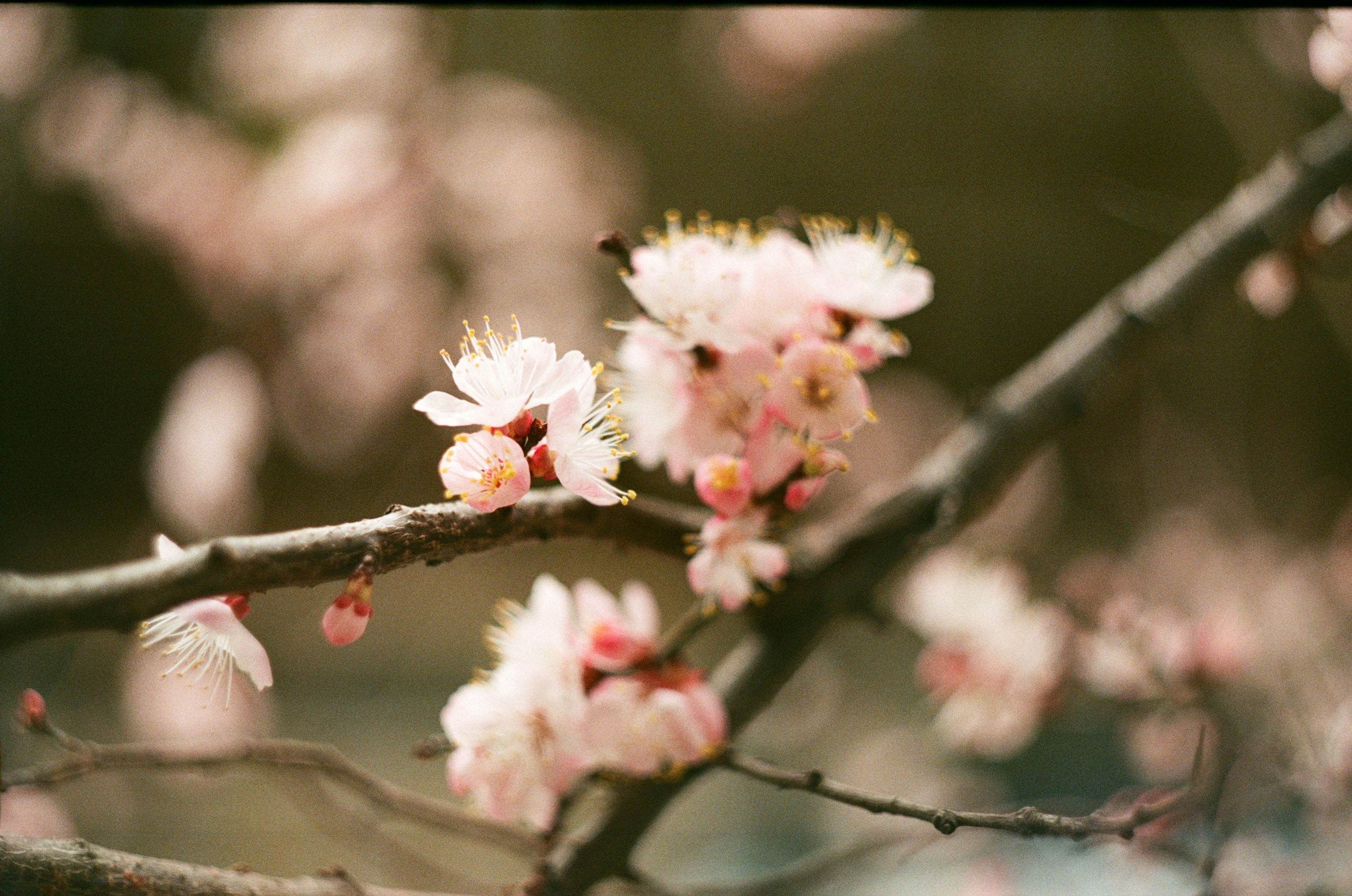 Photo by daria_kraplak