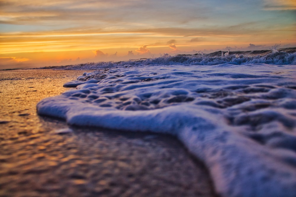 seashore on focus photography