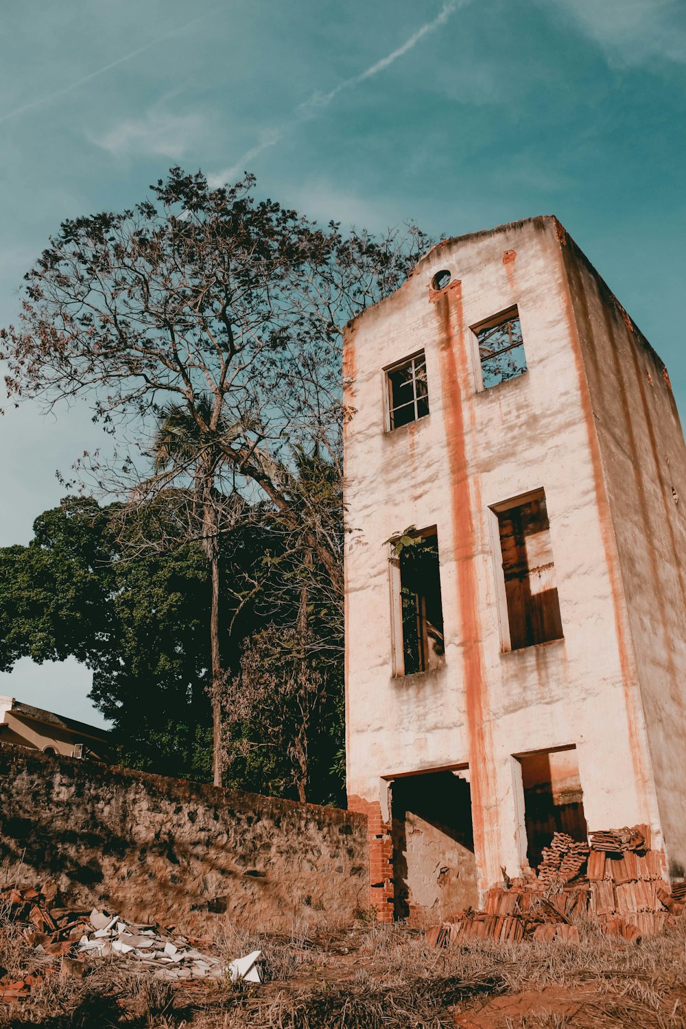 white concrete building near green-leafed tree