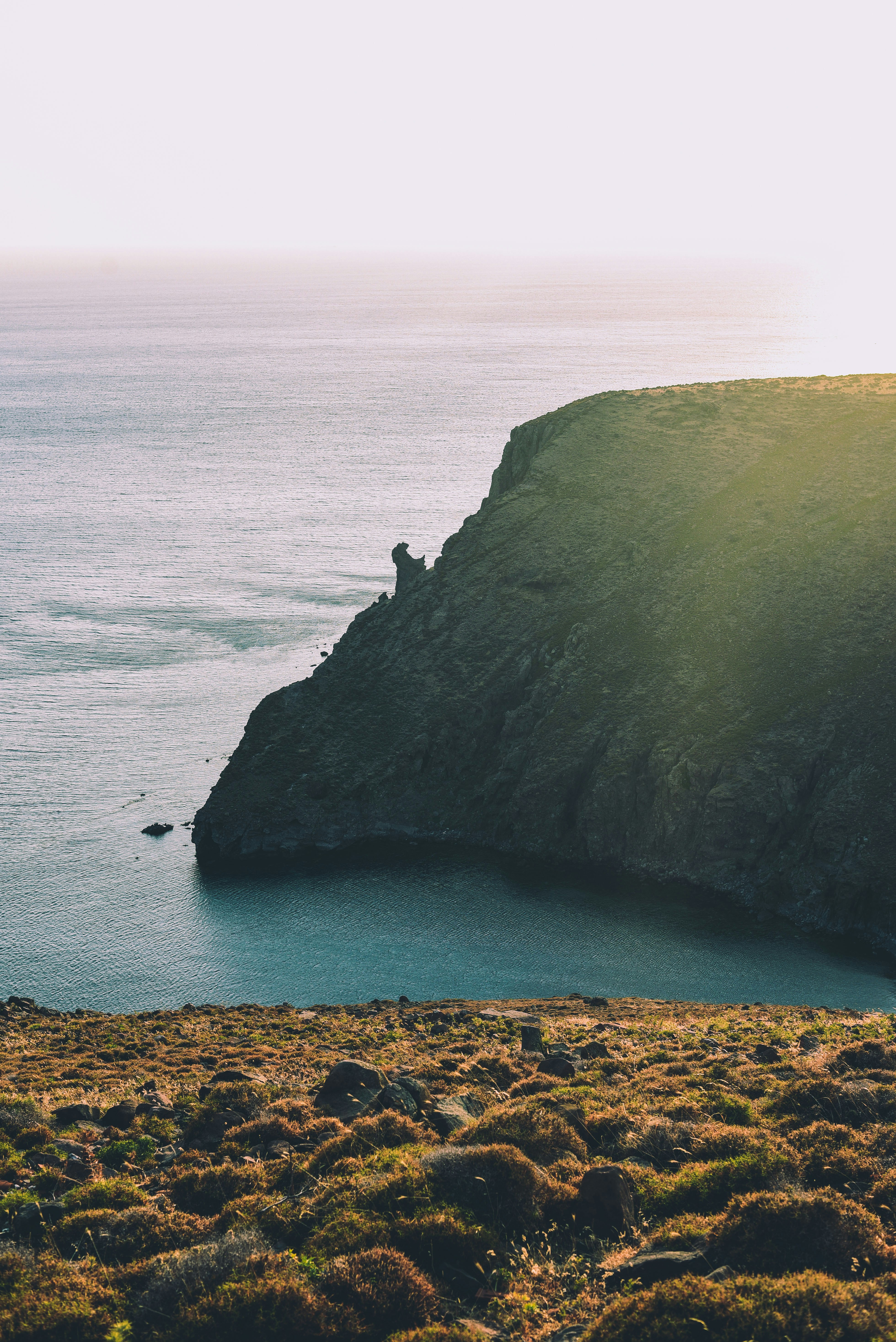 Photo by shotsbytania