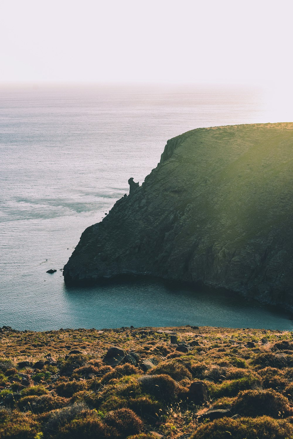 clam sea and mountain