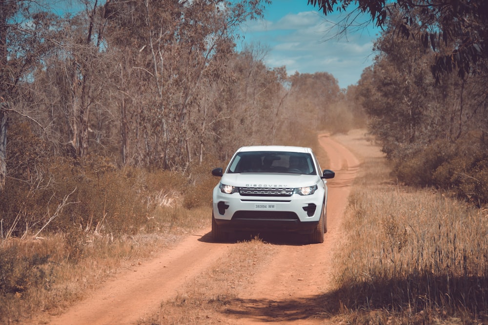 white Land Rover Ranger Rover on road near trees
