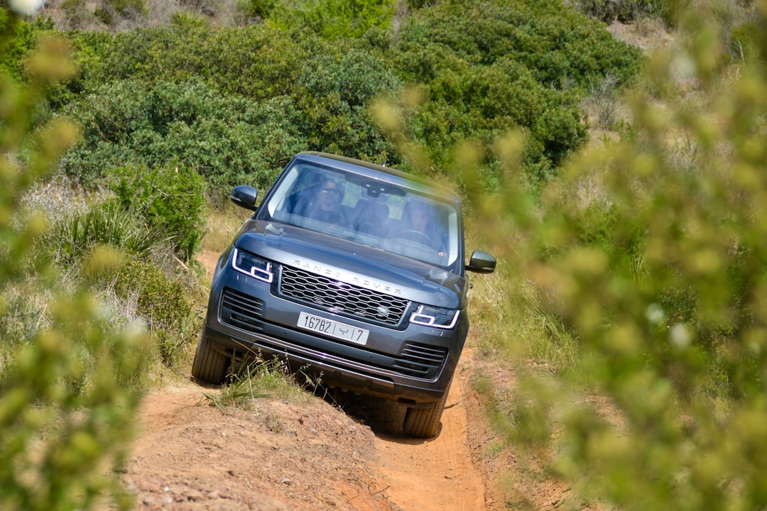 gray Land Rover Range Rover running on trails