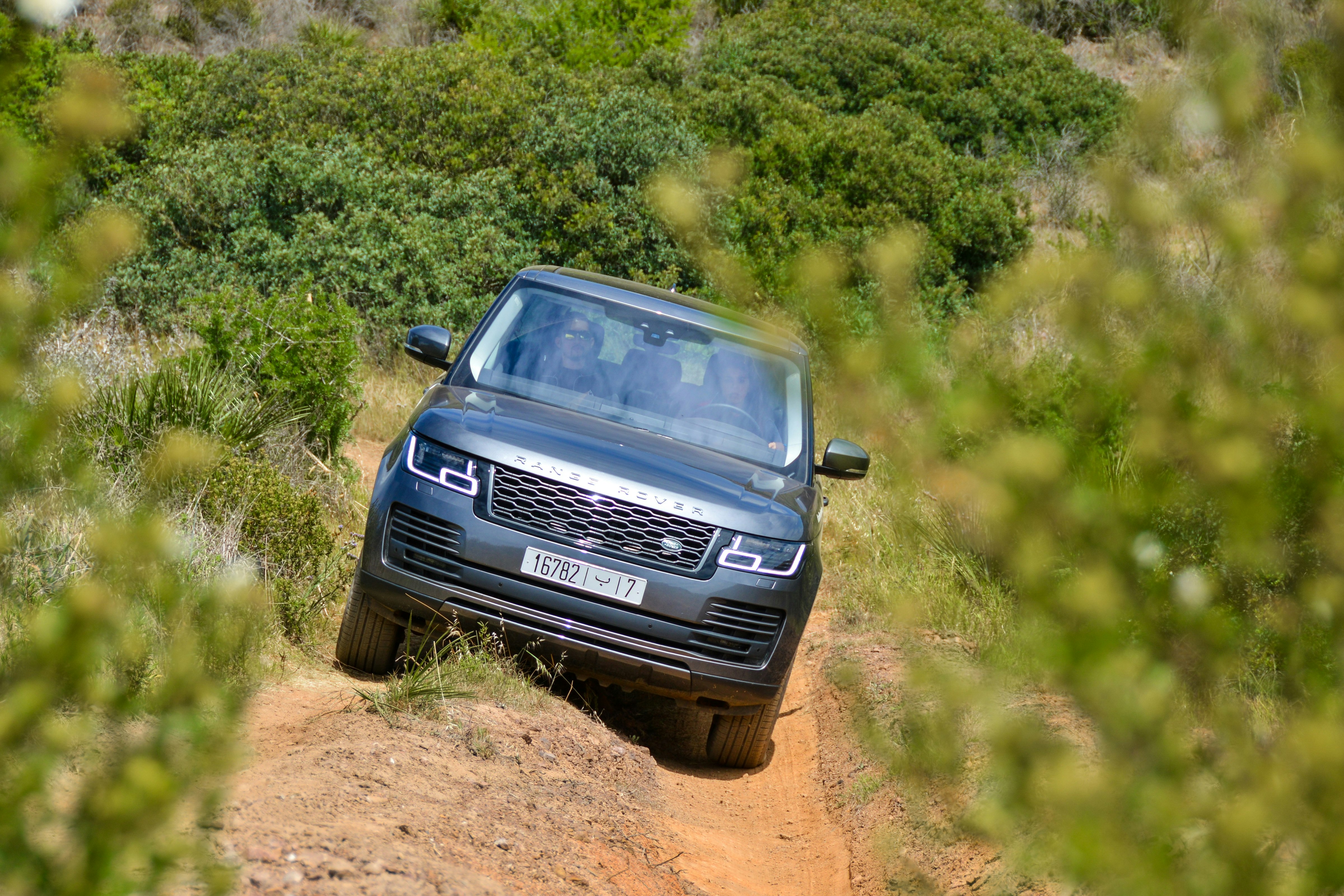 gray Land Rover Range Rover running on trails