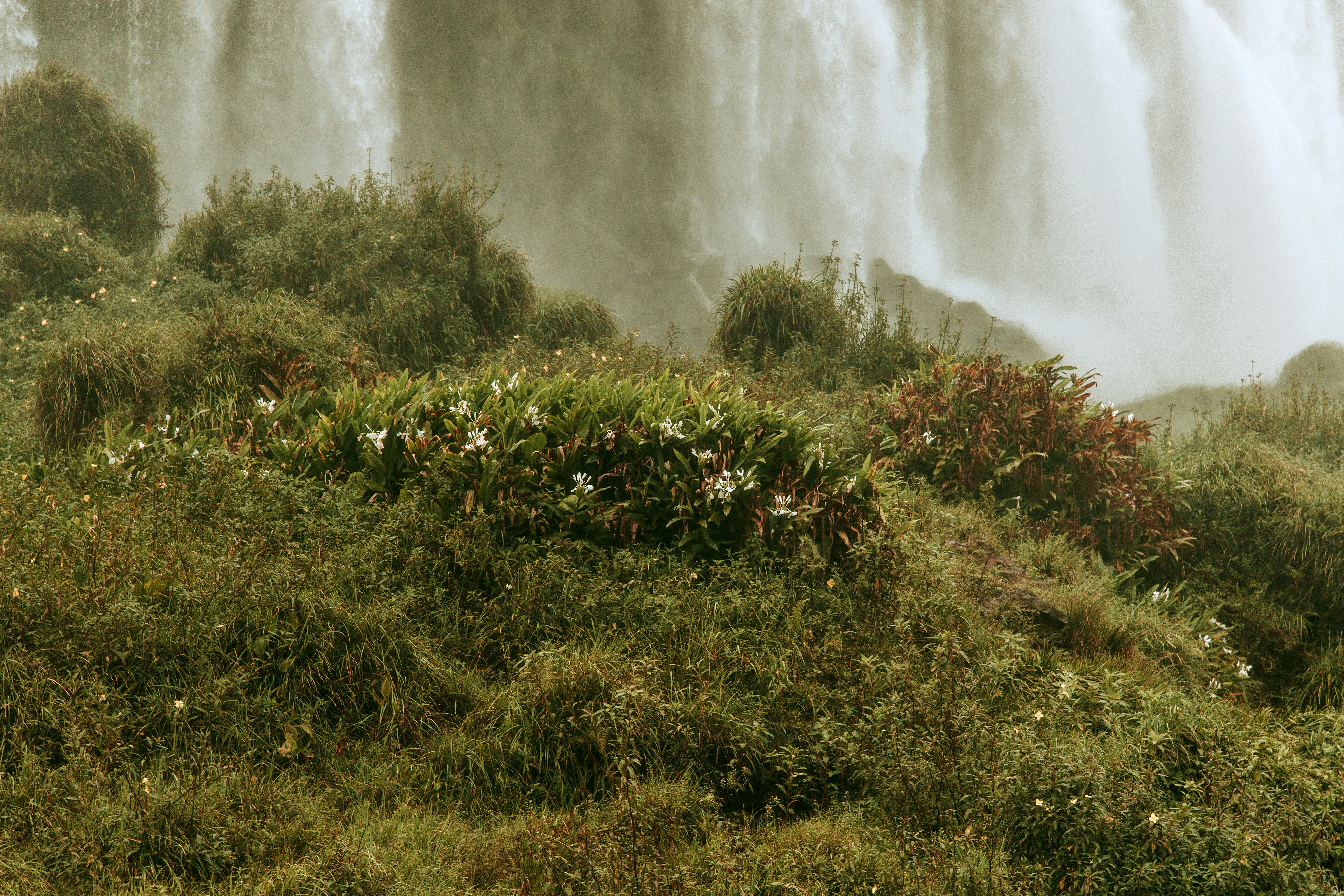 Green grass field beside waterfalls photo – Free Iguazu falls Image on ...
