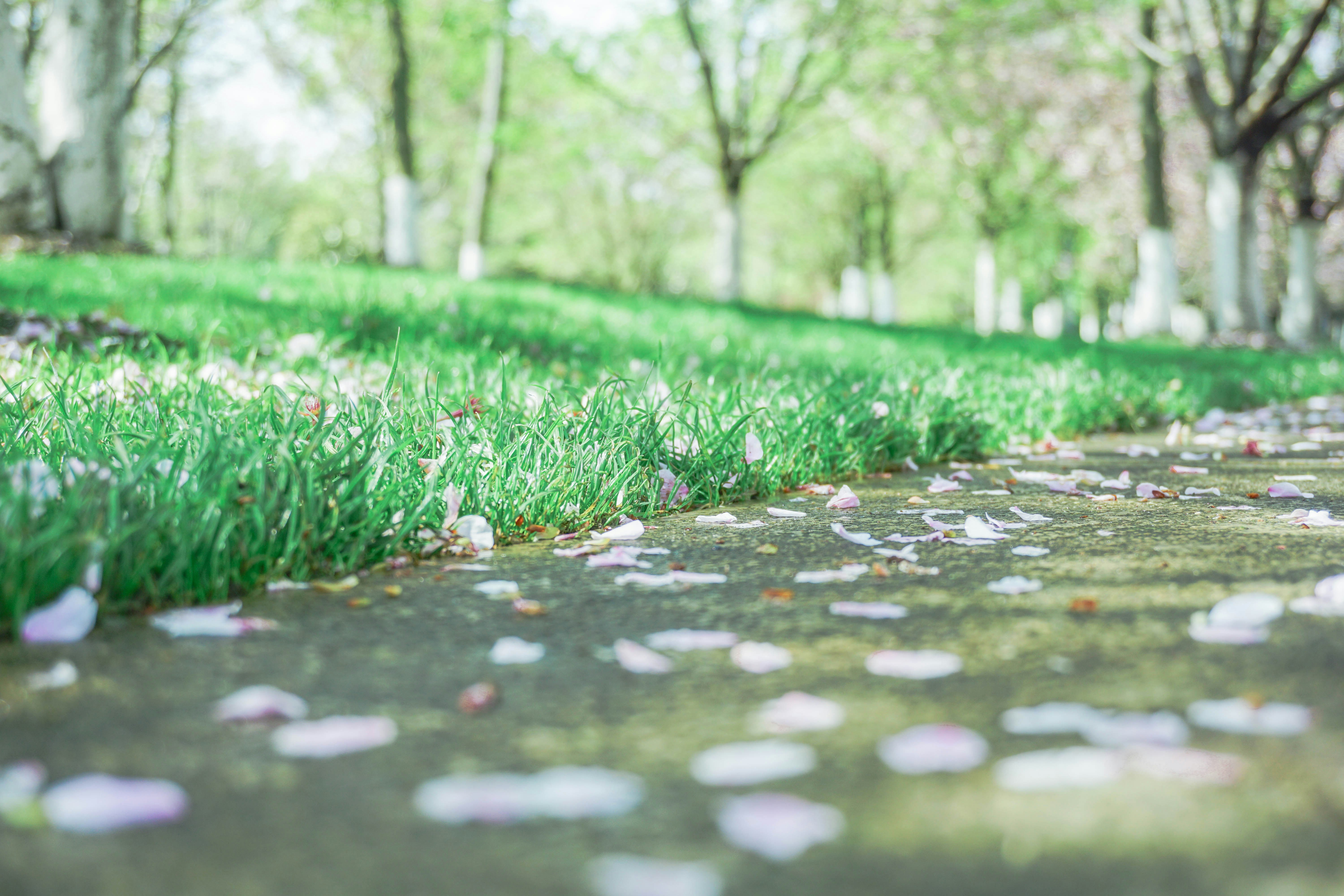 Photo by maggie_zhan