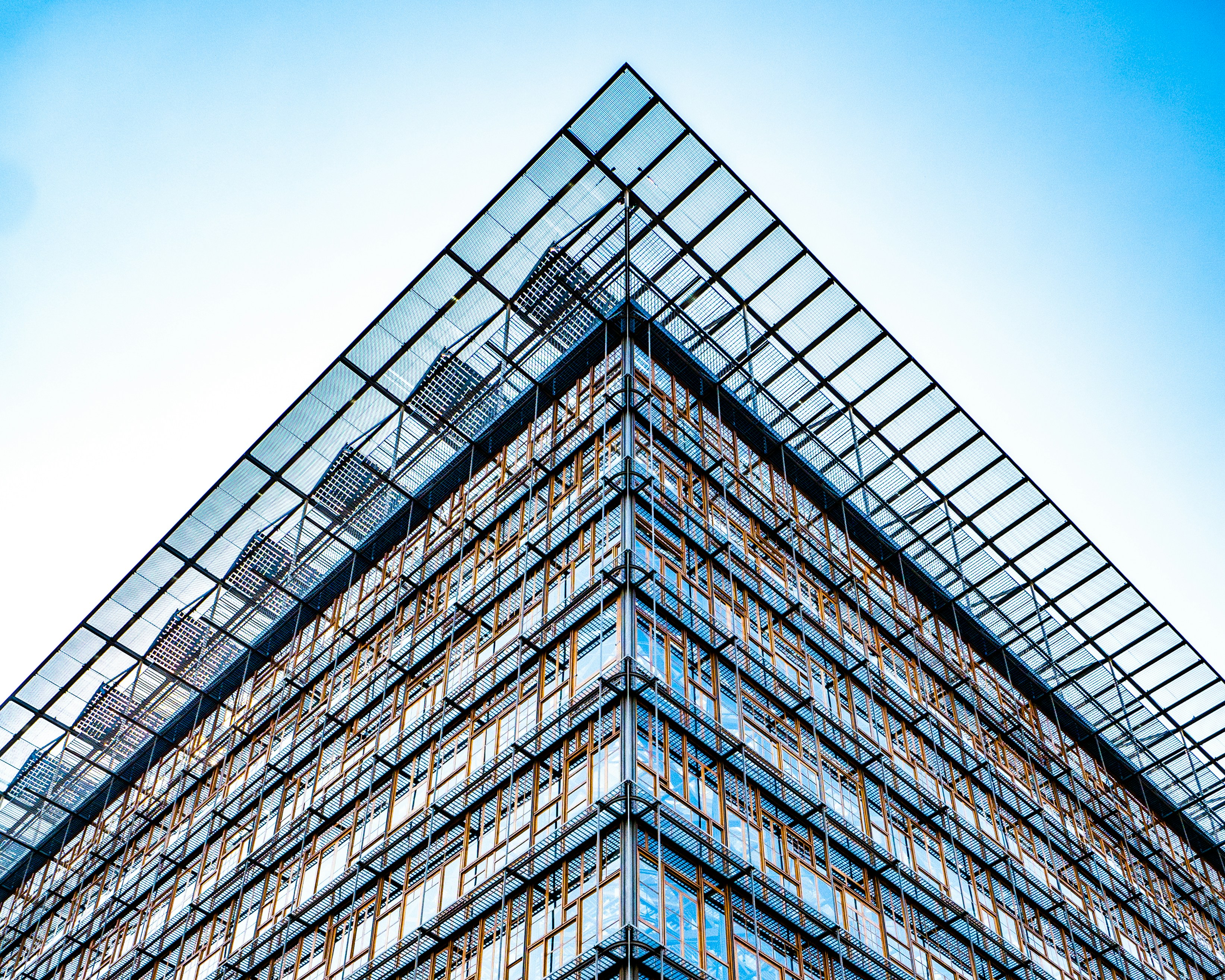 scaffolding's on building