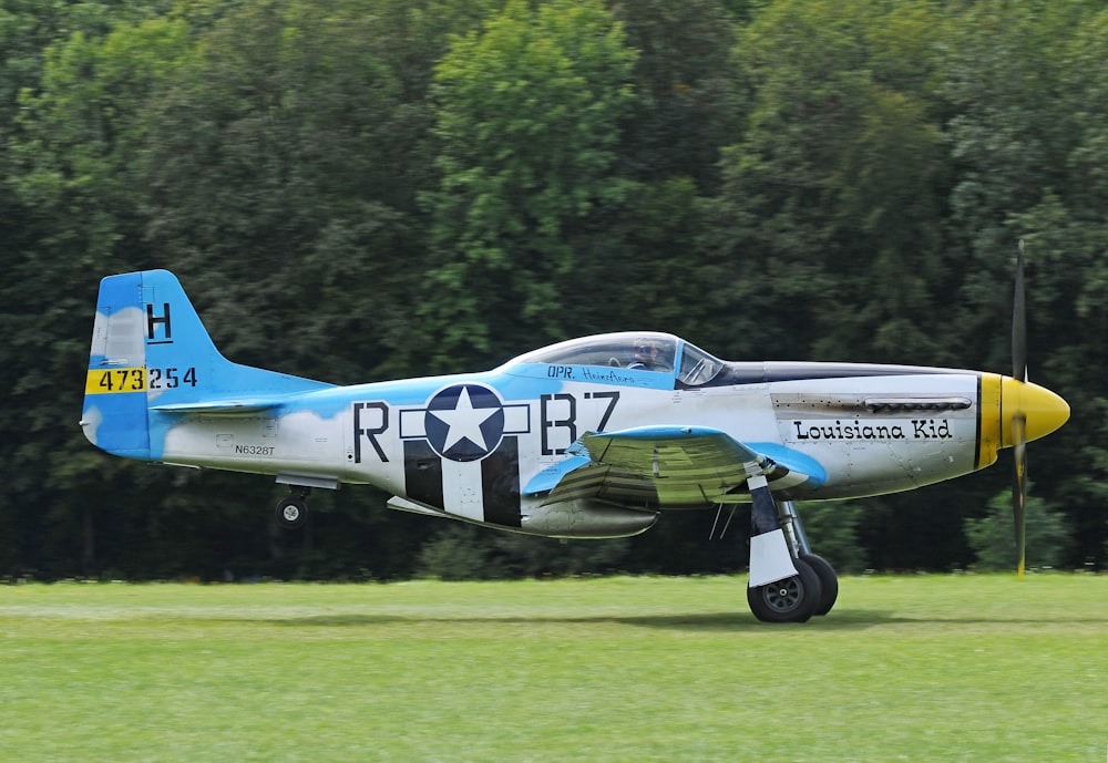 white and blue monoplane on green grass