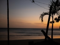 A serene beach at sunset with calm waves and palm trees.