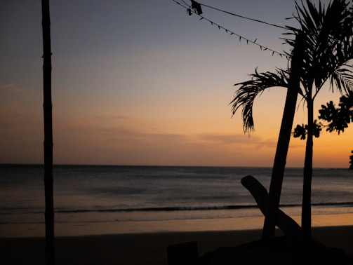 A serene beach at sunset with palm trees and calm waves.