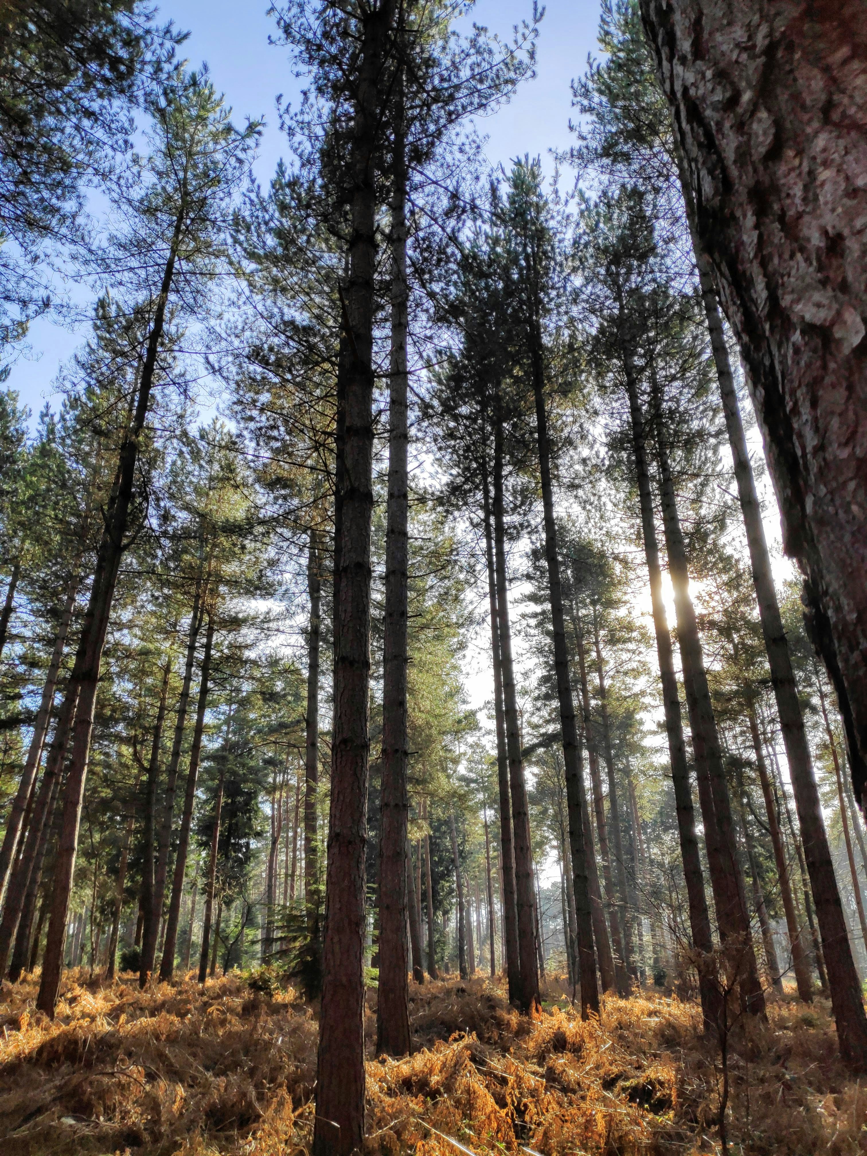 Photo by frances_synge