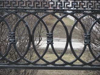 A decorative black wrought iron fence with an intricate design consisting of interlocking circles and ornate elements. Behind the fence, sparse dry bushes and a small paved path are visible. The scene appears to be in an outdoor urban setting.