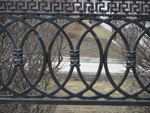 A decorative black wrought iron fence with an intricate design consisting of interlocking circles and ornate elements. Behind the fence, sparse dry bushes and a small paved path are visible. The scene appears to be in an outdoor urban setting.