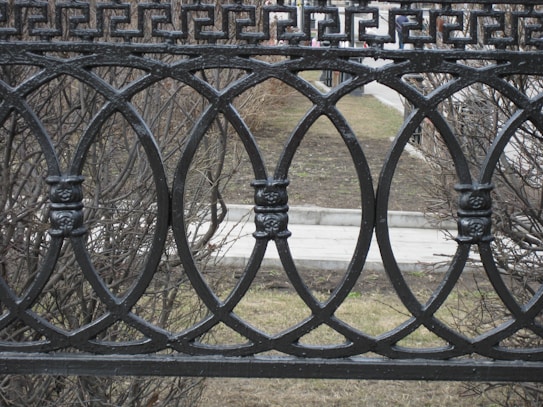 A decorative black wrought iron fence with an intricate design consisting of interlocking circles and ornate elements. Behind the fence, sparse dry bushes and a small paved path are visible. The scene appears to be in an outdoor urban setting.