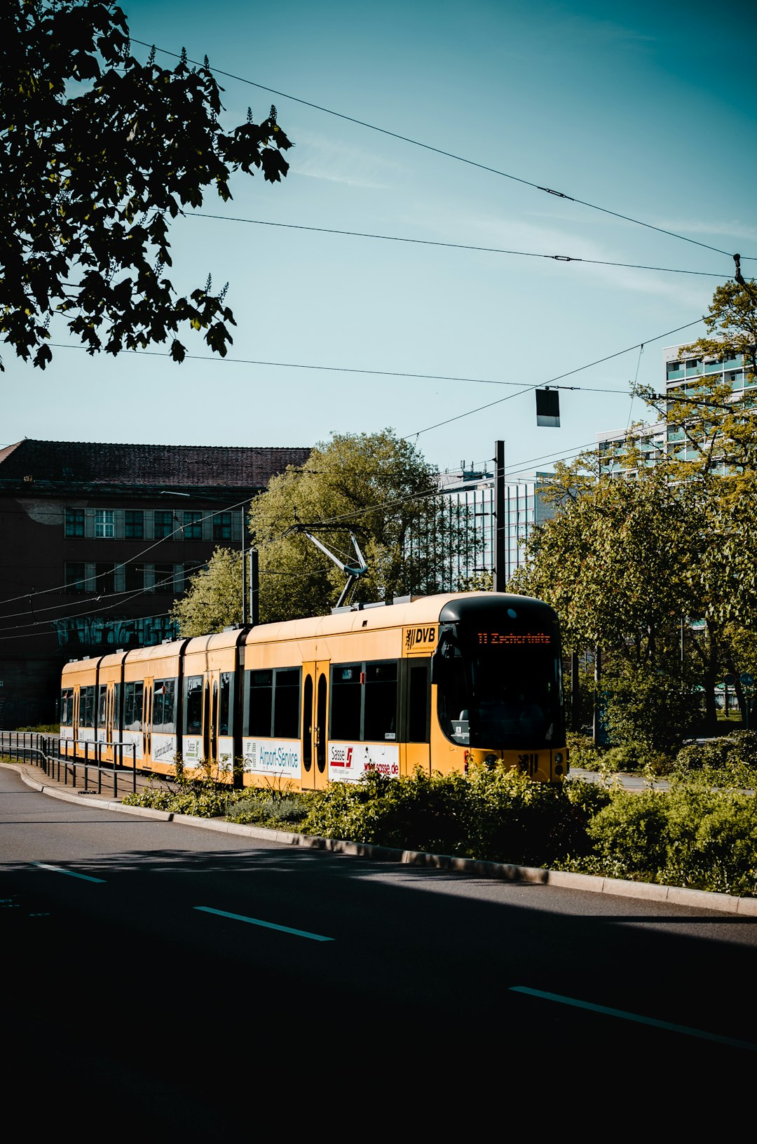 yellow train between trees