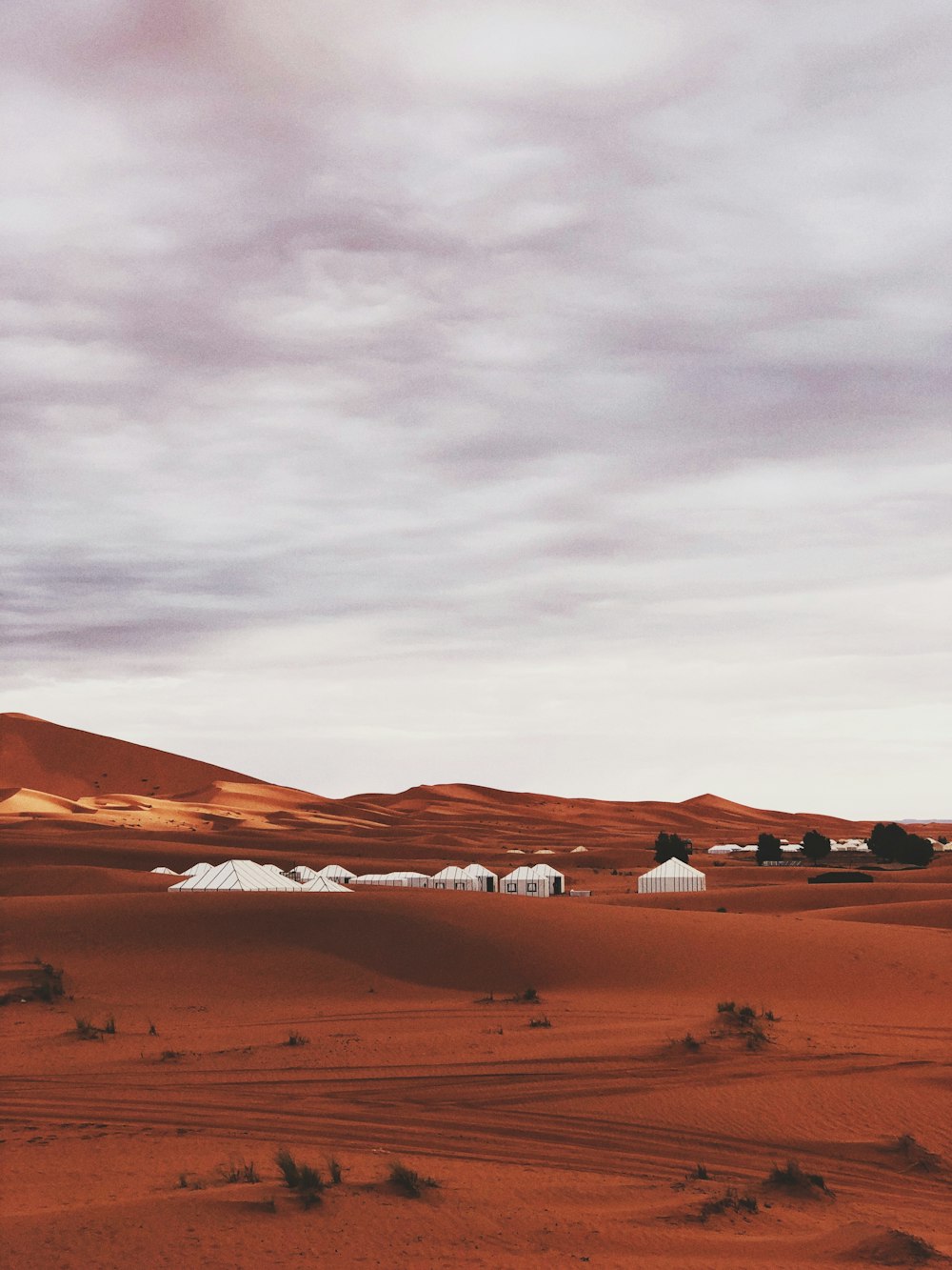 white canopies on desert