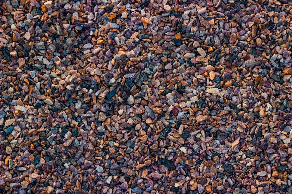brown and black pebbles