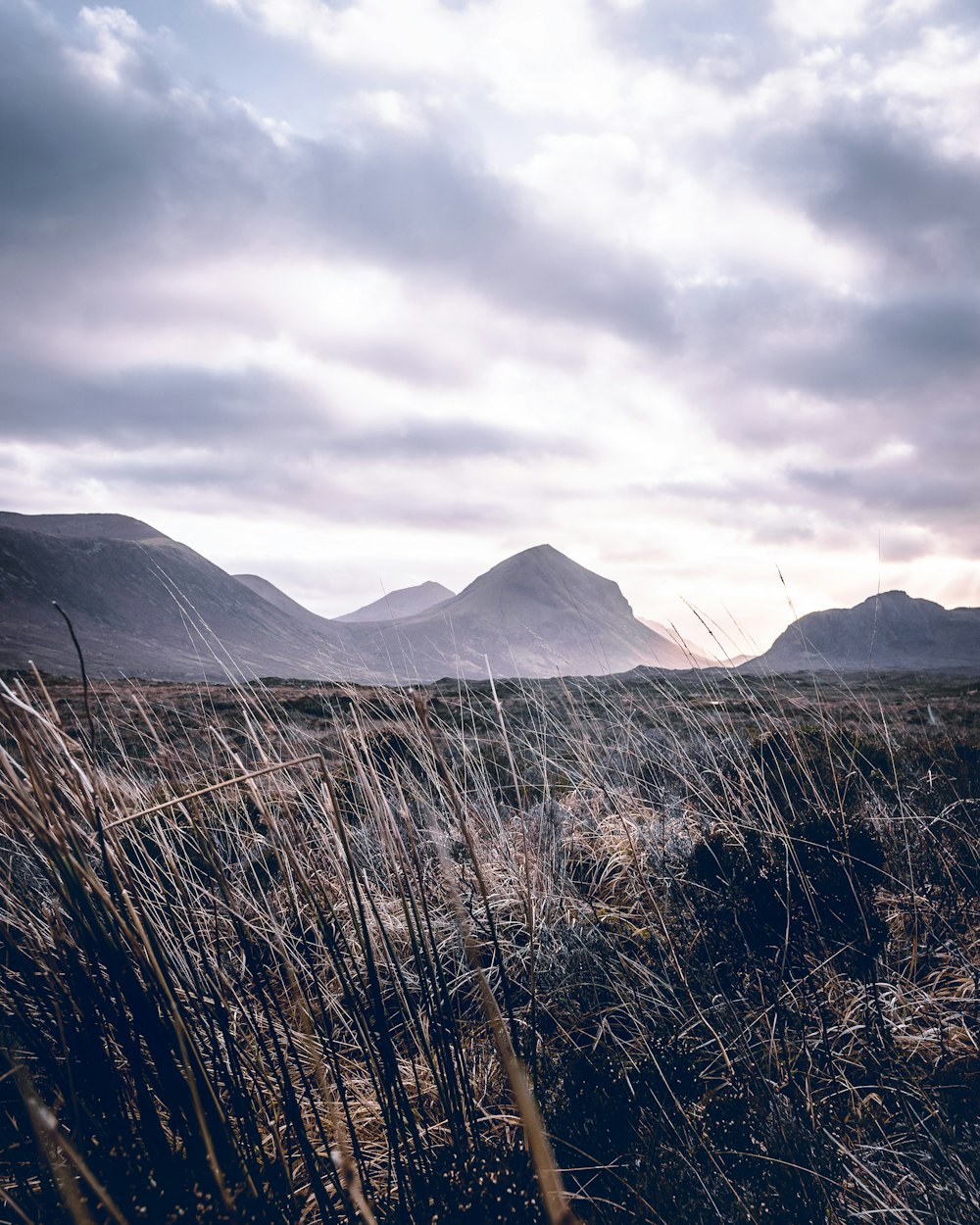 landscape photo of mountain