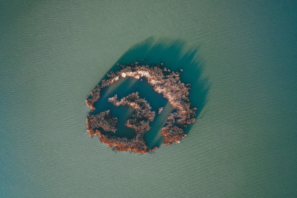 aerial photography of islet during daytime