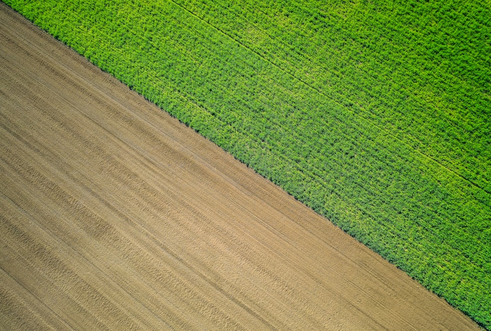 green grass and brown road