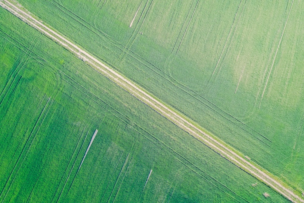 una veduta aerea di un campo verde con una strada che lo attraversa