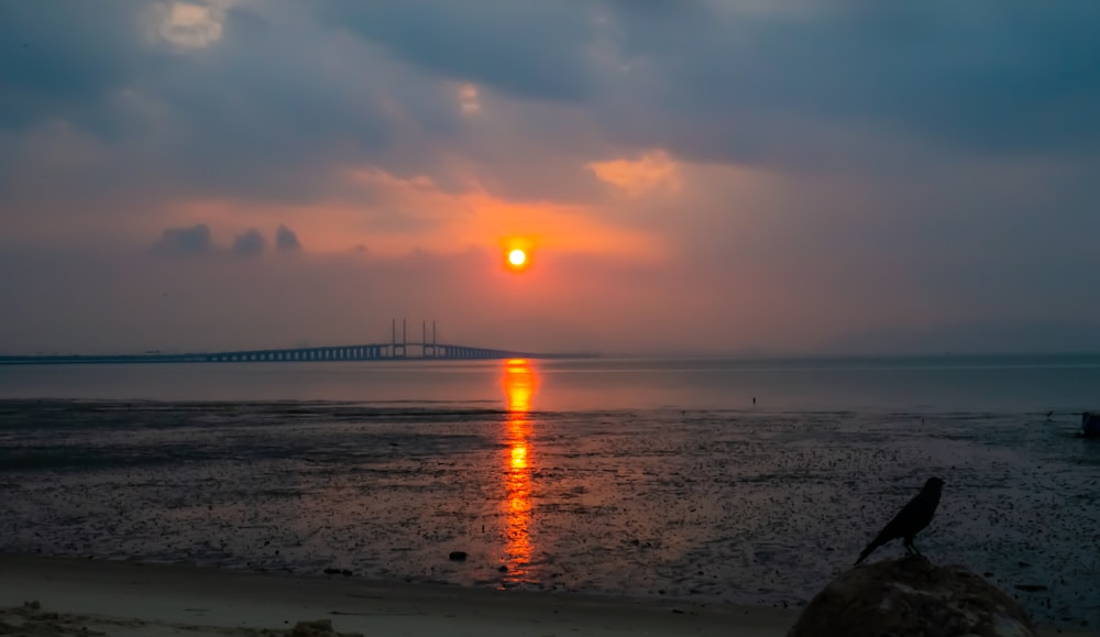 海岸線と水域