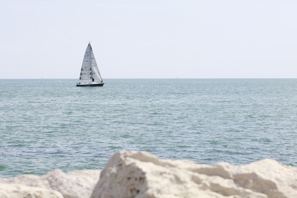 white and black sail boat