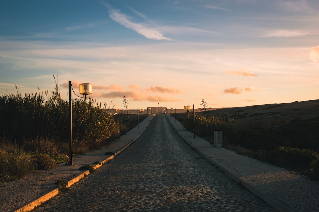 concrete road near grass field