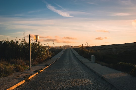 concrete road near grass field in Sagres Portugal